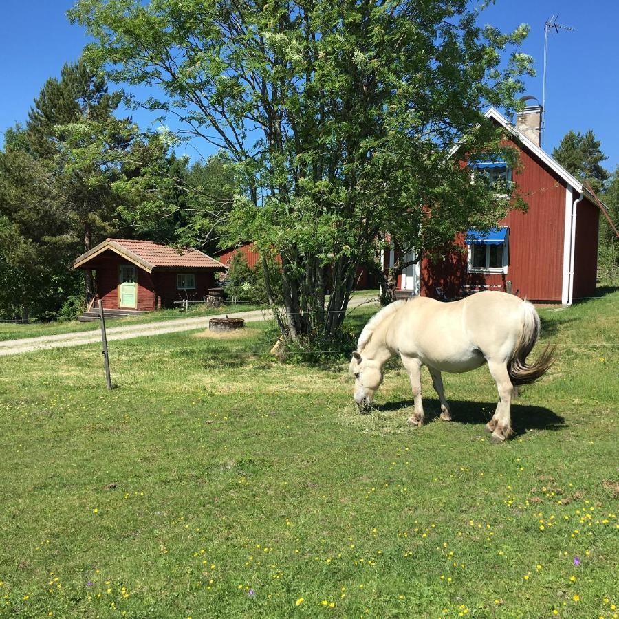 Nice Stay In Beautiful, Calm Environment Grangärde Exterior foto